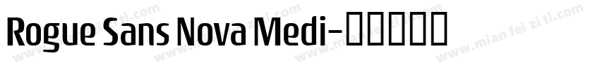 Rogue Sans Nova Medi字体转换